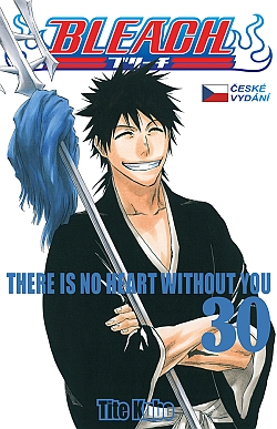 obrázek k novince Bleach 30: There is no heart without you